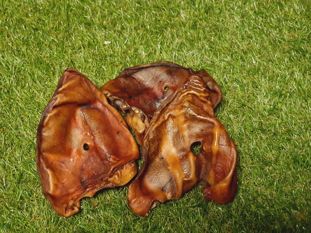 Grade A Pigs / Sow Ears